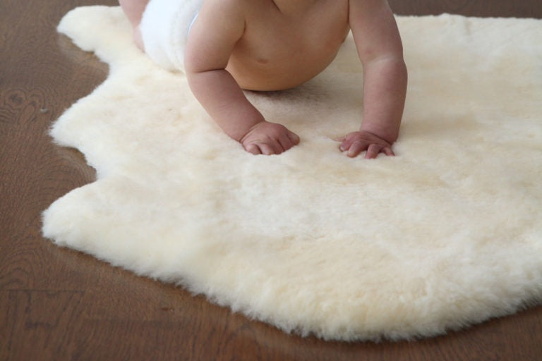 Pet & Child Friendly Rugs