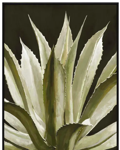 Close-up of a spiky plant with a dark background