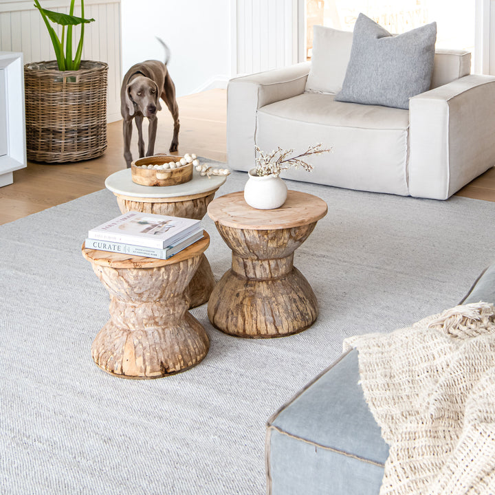 Living room with wooden side tables, a white sofa, and a dog standing.