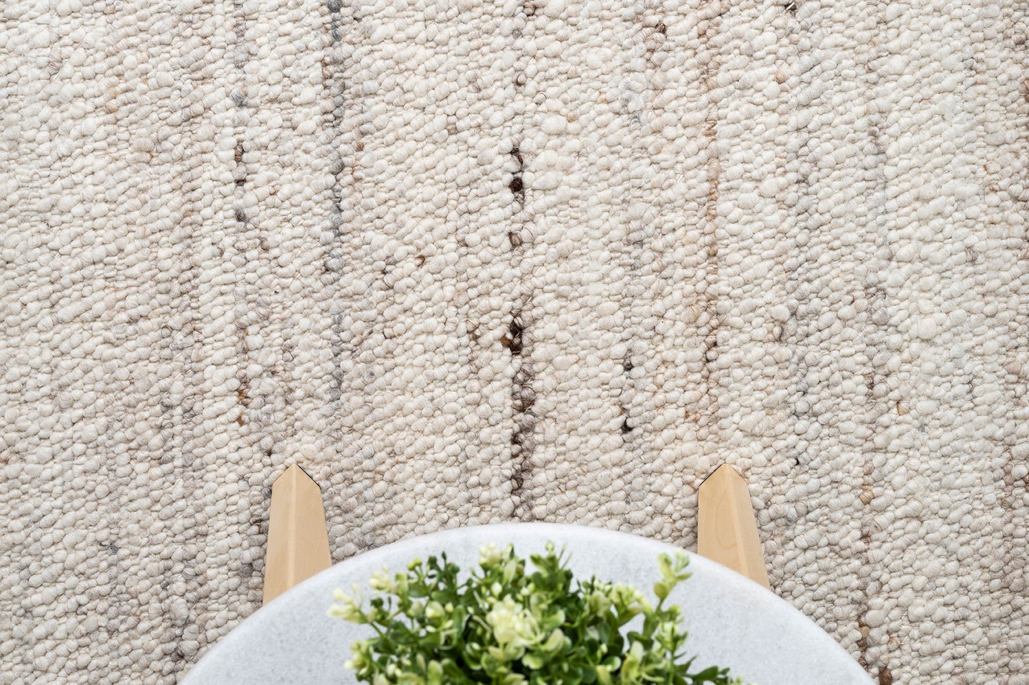 Close-up of a textured beige carpet with a small plant on a stand.