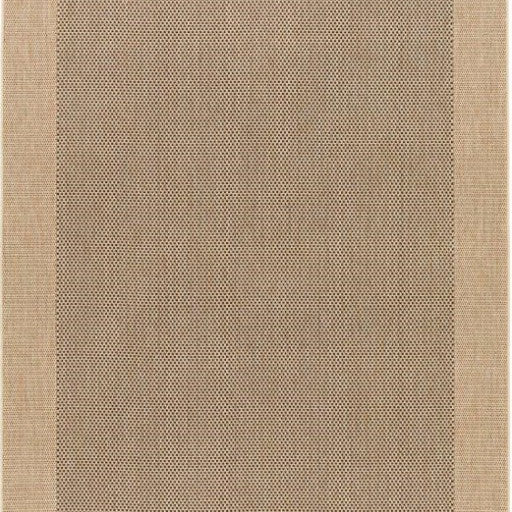 Beige area rug with a checkered border
