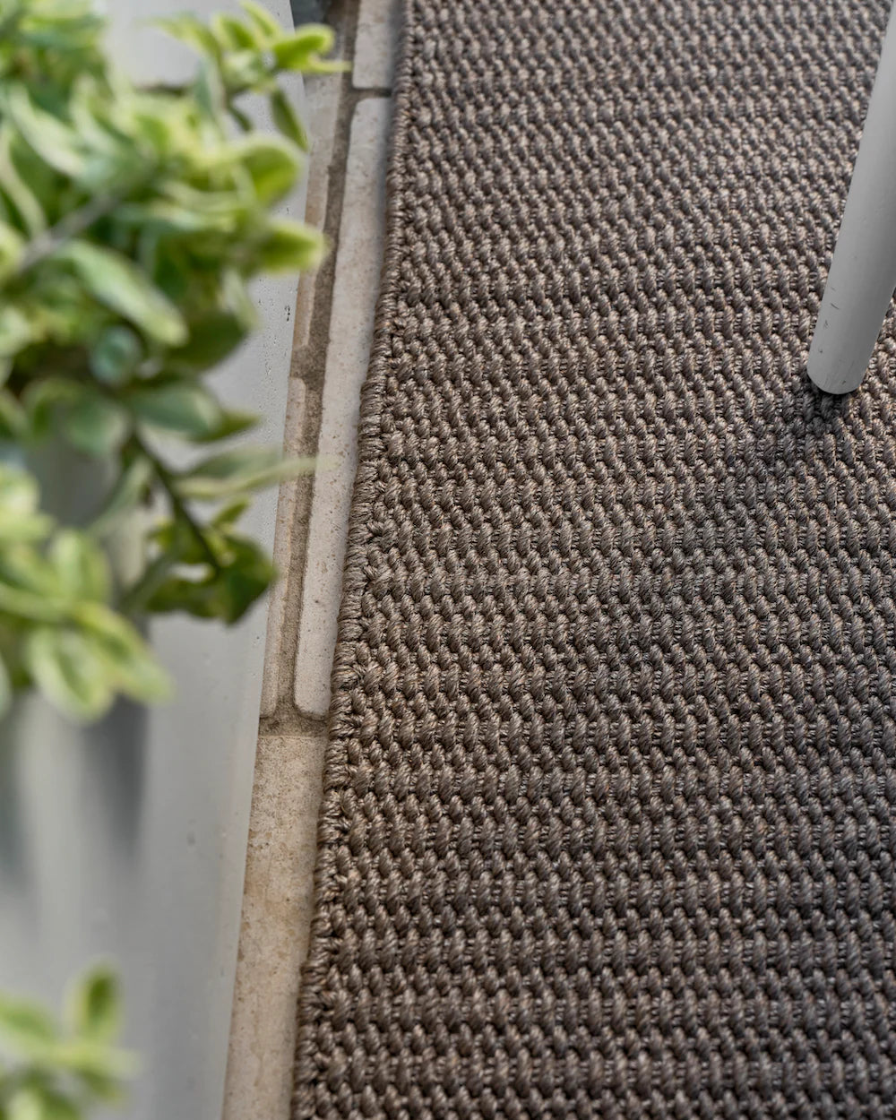 Close-up of a textured brown carpet edge with a plant in the corner