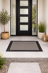 Modern black door with glass panels on a white patio with a doormat and potted plants.