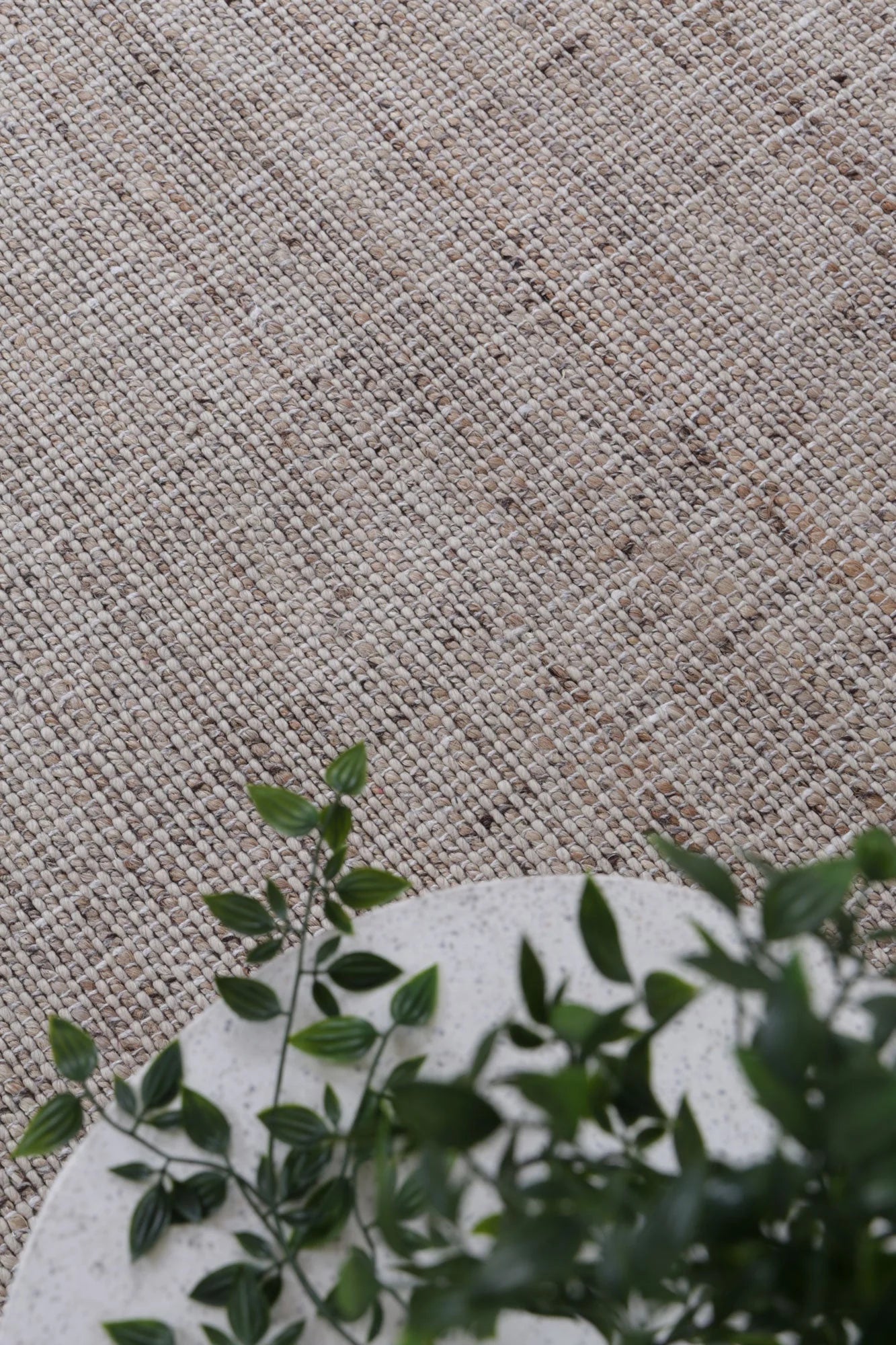 Dune Ivory Rug displayed in a room with neutral decor, accentuating its versatility and natural aesthetic.