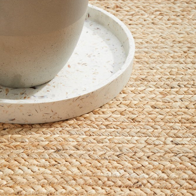Potted plant on a woven mat with a neutral background