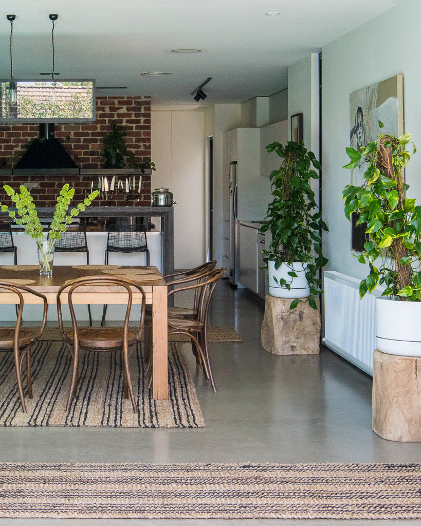 Modern kitchen and dining area with wooden furniture and potted plants.