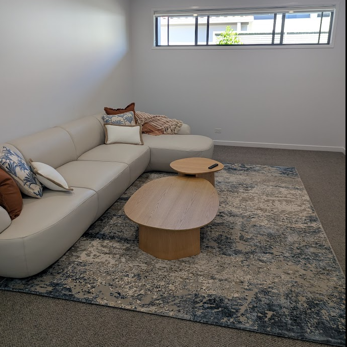 dream rug in modern home