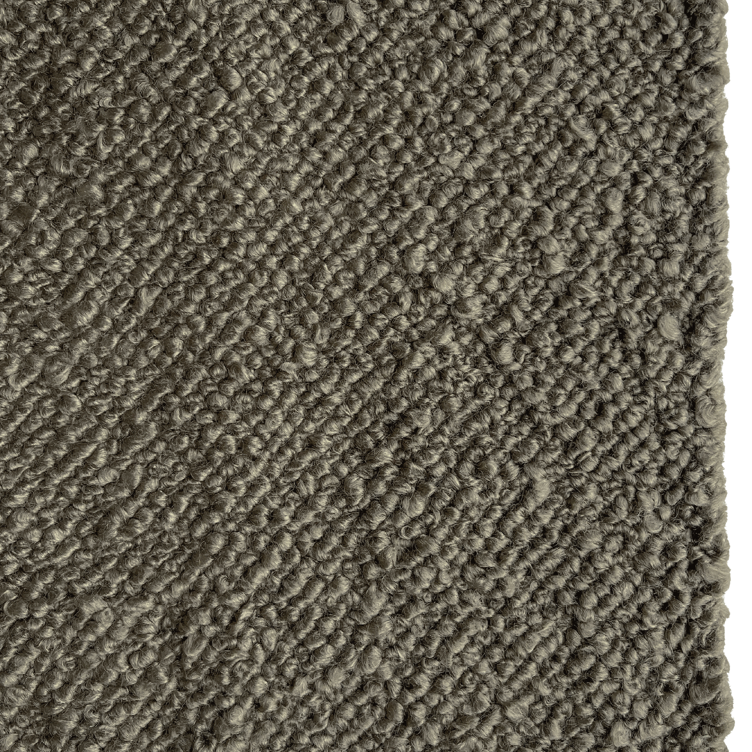 Close-up of a textured area rug showing its looped pile and woven border in a warm taupe-brown color.