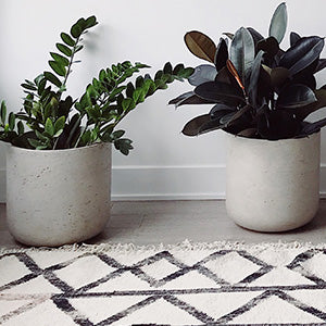 Featured Mats and Rugs at Noosa Rugs