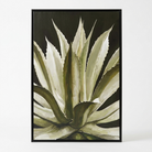 A framed botanical art print of an agave plant, featuring textured cream and olive green leaves against a dark background, enclosed in a thin black frame.