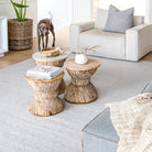 Living room with wooden side tables, a white sofa, and a dog standing.