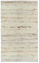Textured area rug with a neutral color palette on a white background