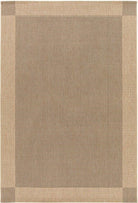 Beige area rug with a checkered border