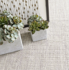 Two small succulent plants in concrete planters on a textured surface.