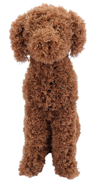 A brown curly-haired plush dog toy standing upright against a plain white background.