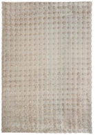 Textured area rug with a neutral color palette on a white background