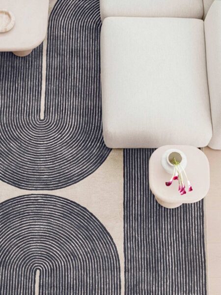 Patterned rug with concentric circles on a neutral-colored floor.