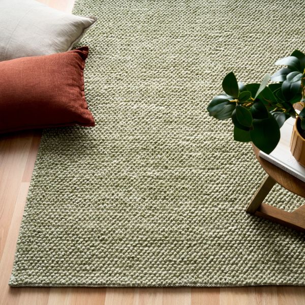 Green woven rug on a wooden floor with pillows and a plant
