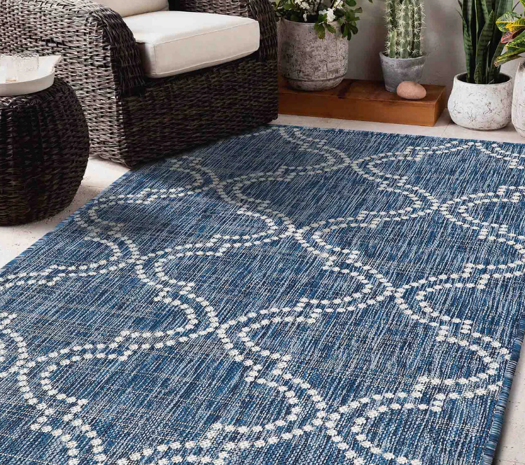 Blue patterned rug in a room with wicker furniture and plants.